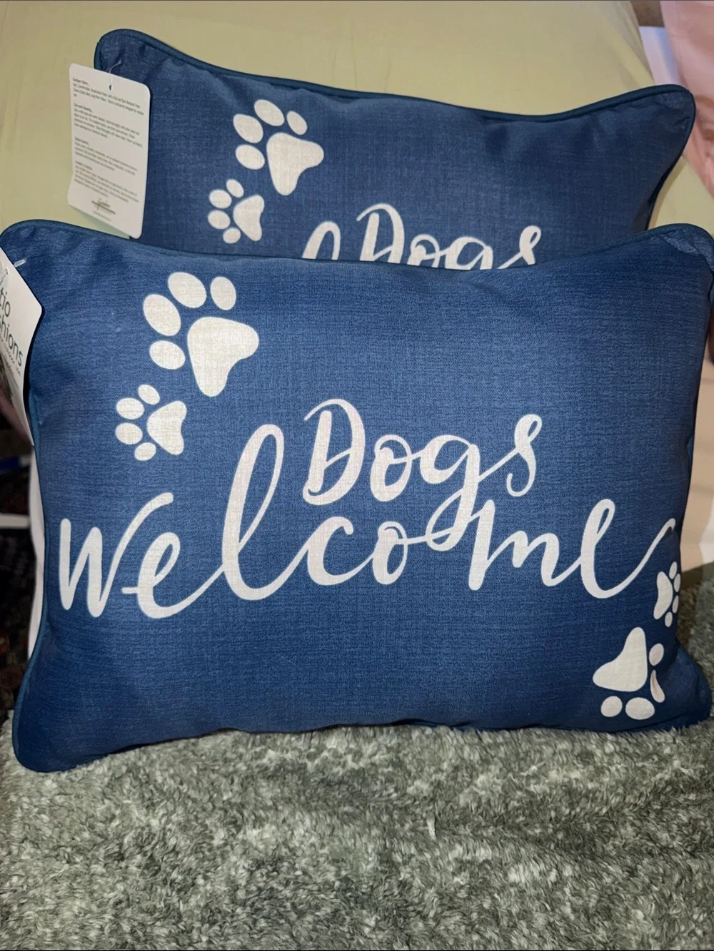 SET OF 2 Jordan Blue & White “Dogs Welcome